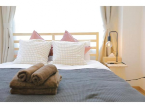 City Petrushka - Vacation STAY 18113